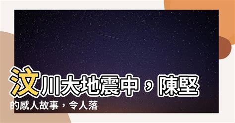 汶川大地震 陳堅|陳堅(汶川大地震遇難者)